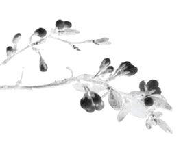 fluent入门一般问题（六）的图1